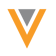 Veeva-logo-Social-1200
