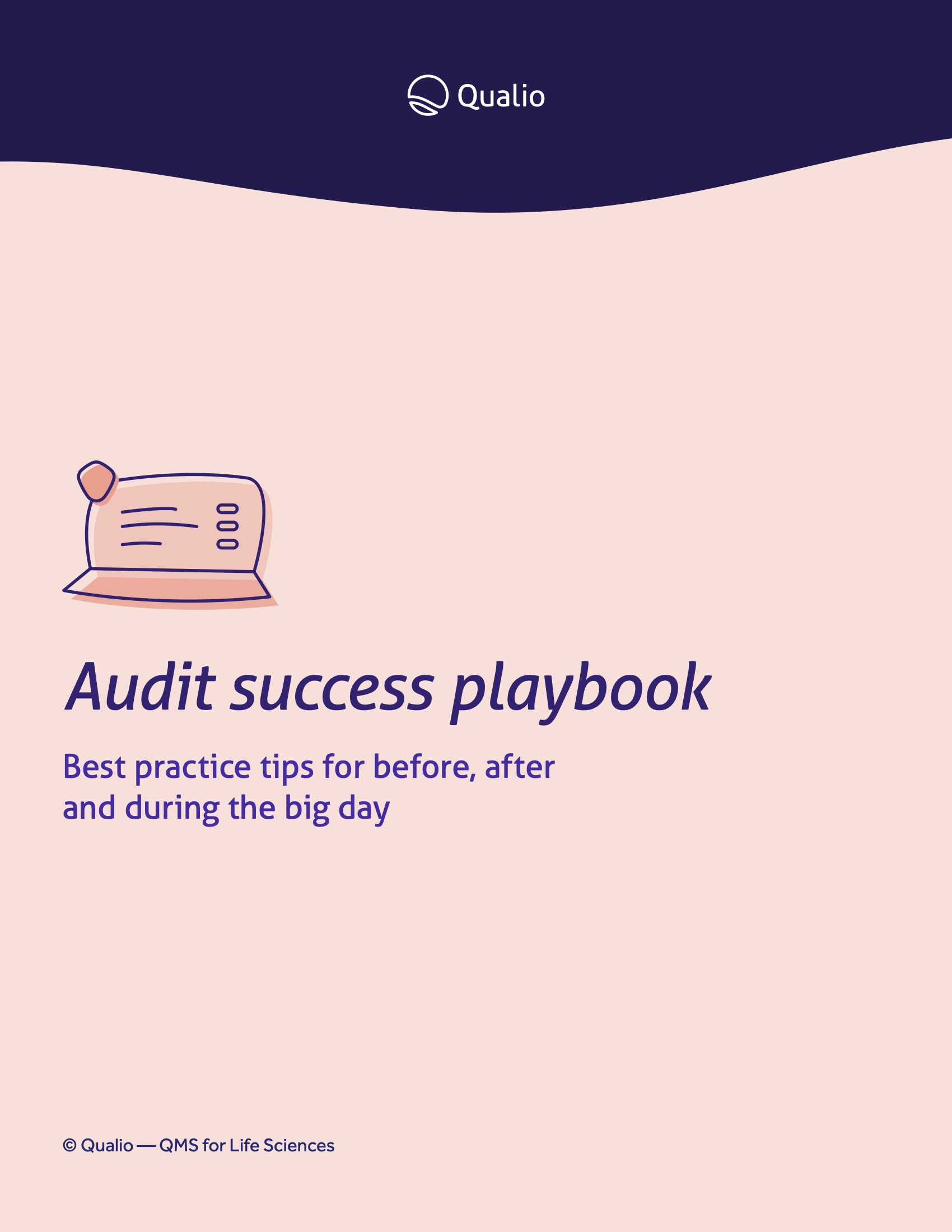 Audit playbook