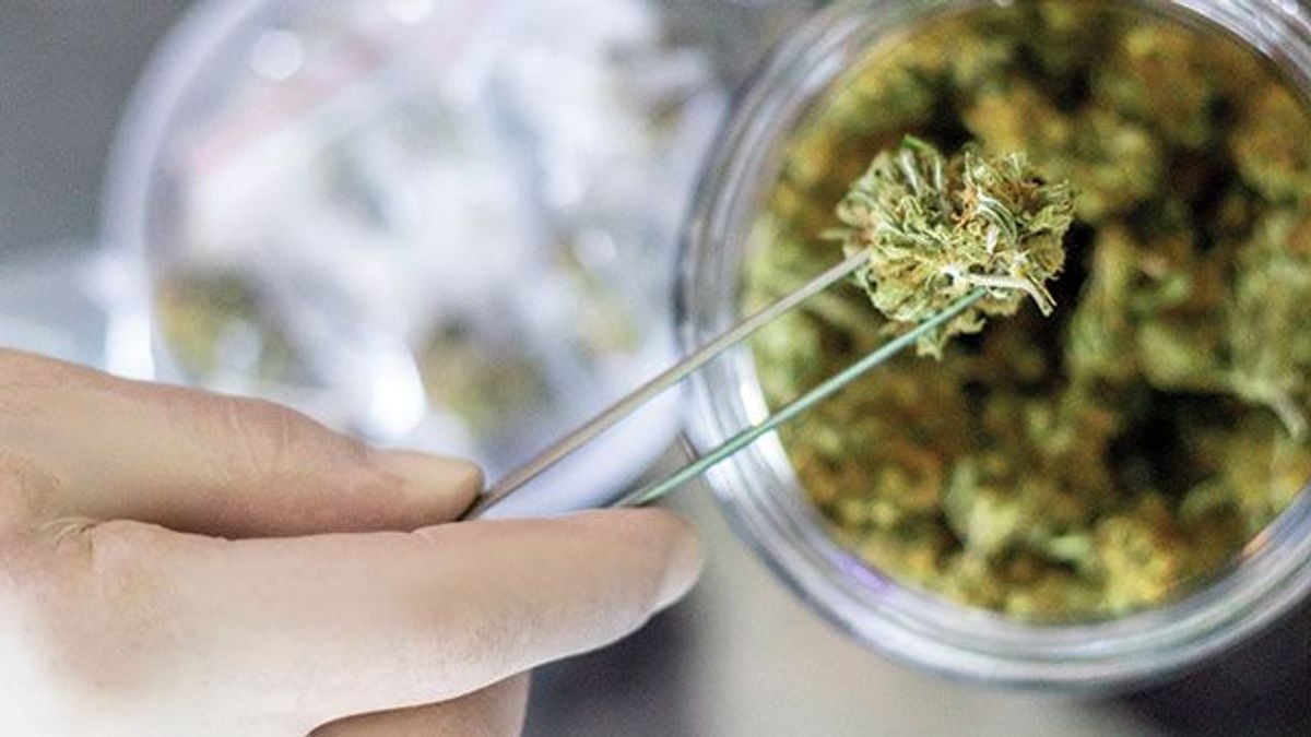 How a cannabis testing lab got ready for market growth