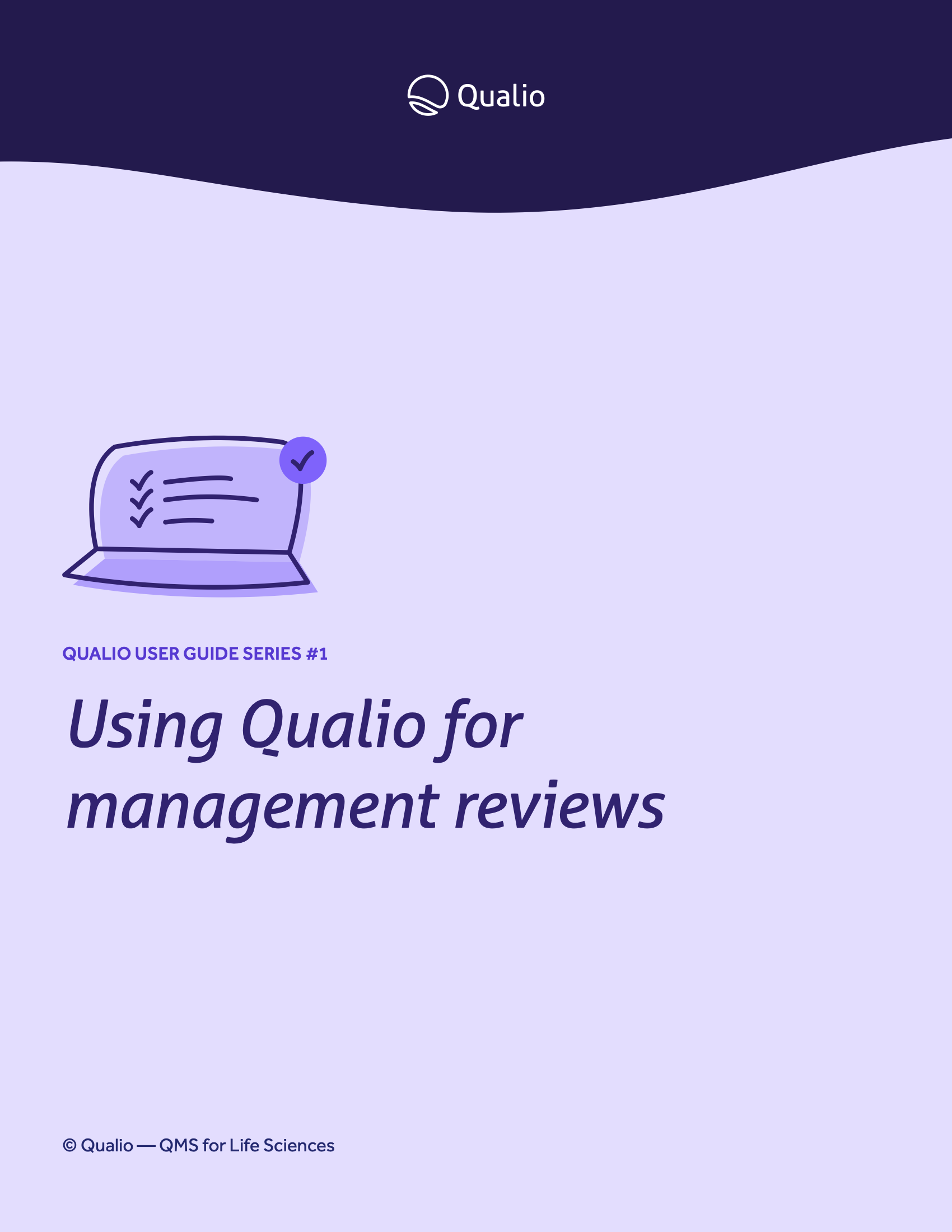 Management review guide