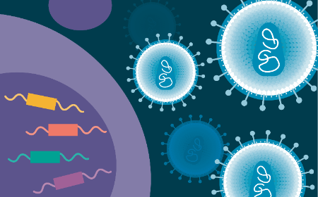 From paper to digital biotech quality in 3 months